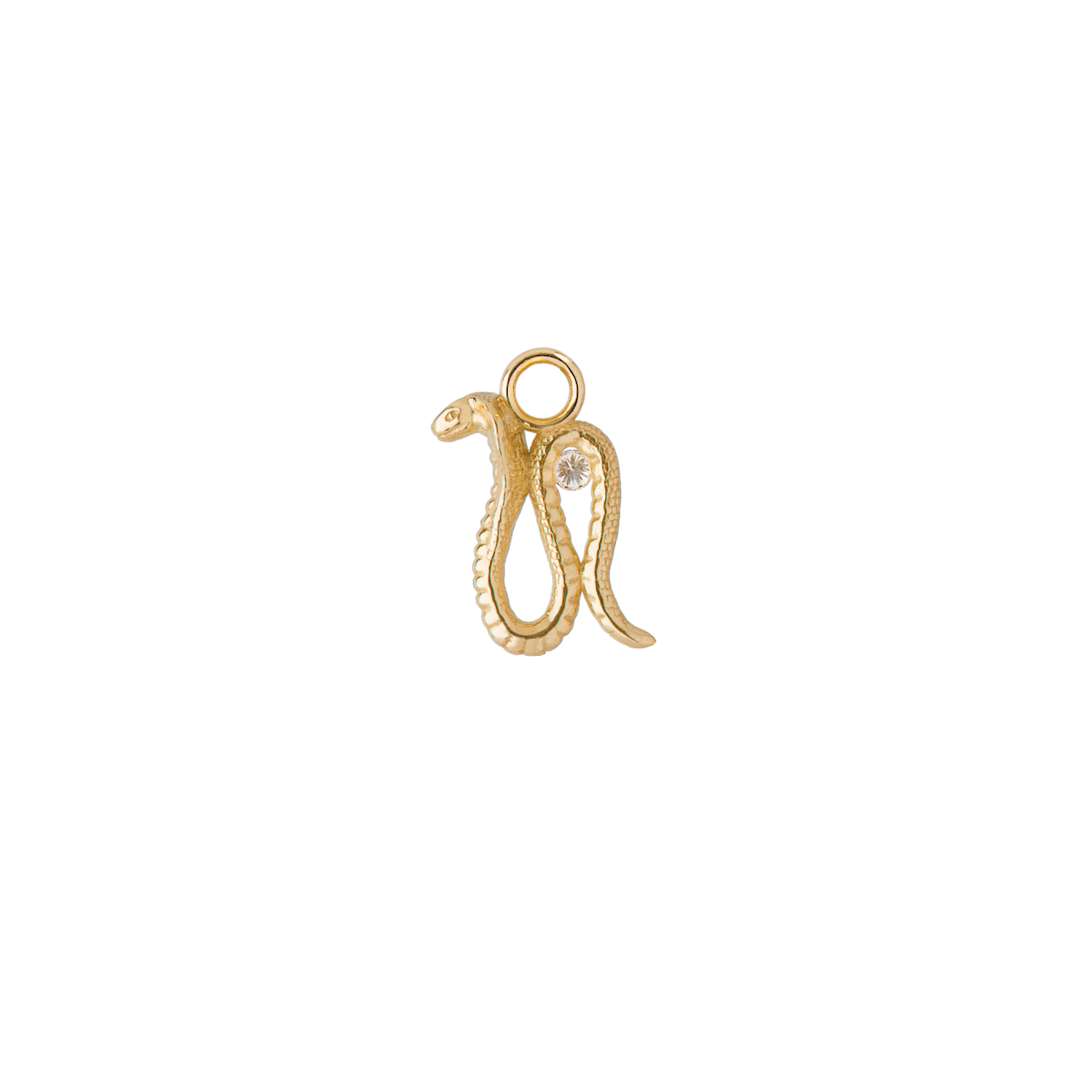Cobra Amulet