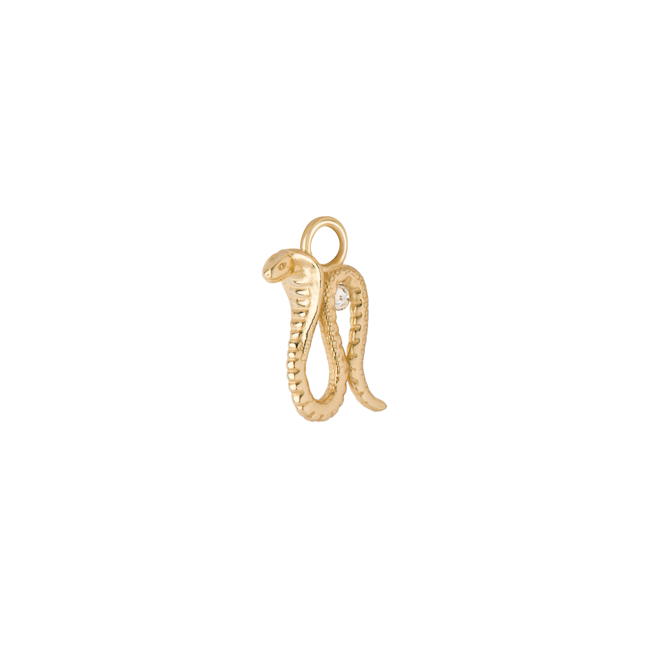Cobra Amulet