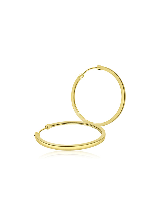 Gold Hoop Earrings